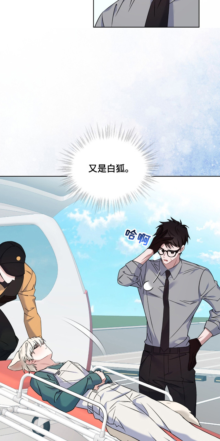 第11话：第11章：逃跑了预览分镜