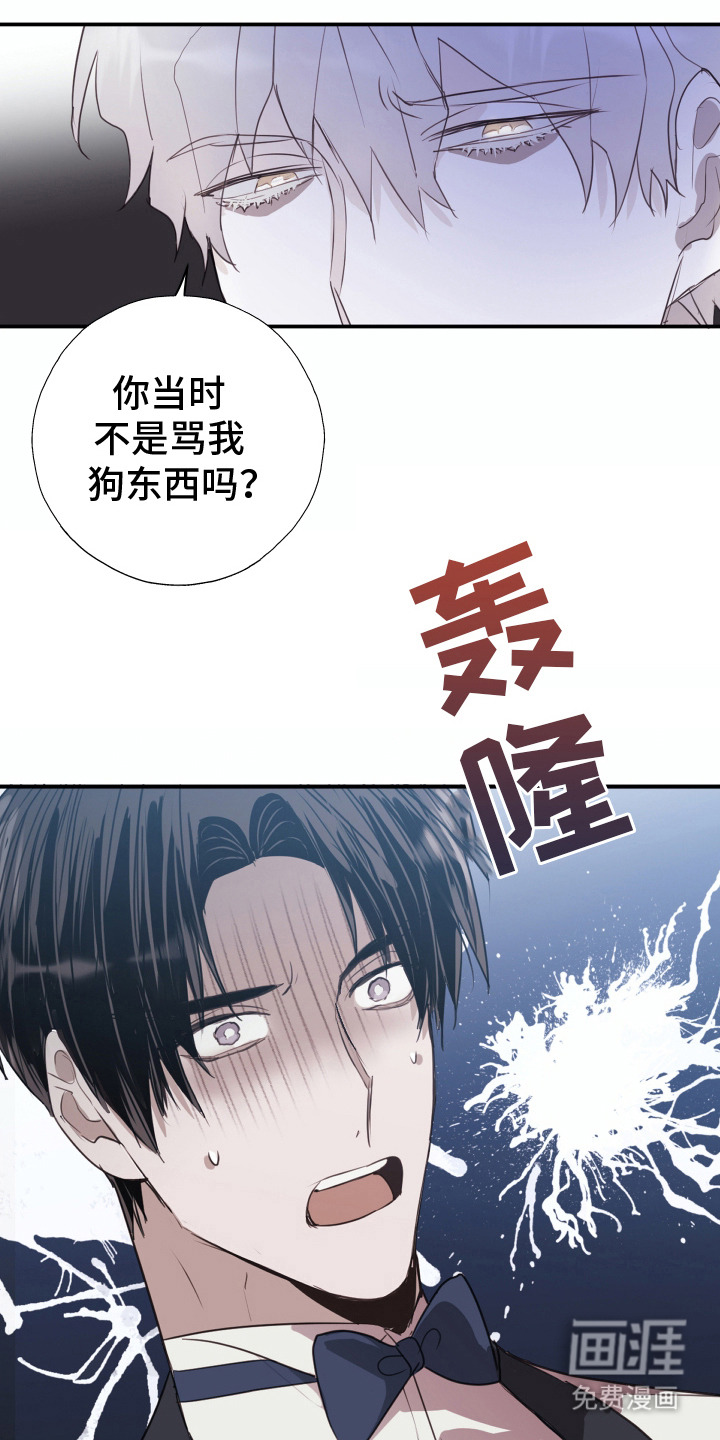 第4话：第4章：错认预览分镜