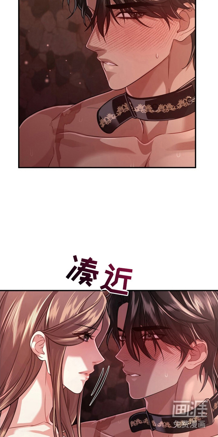 第36章:支离破碎