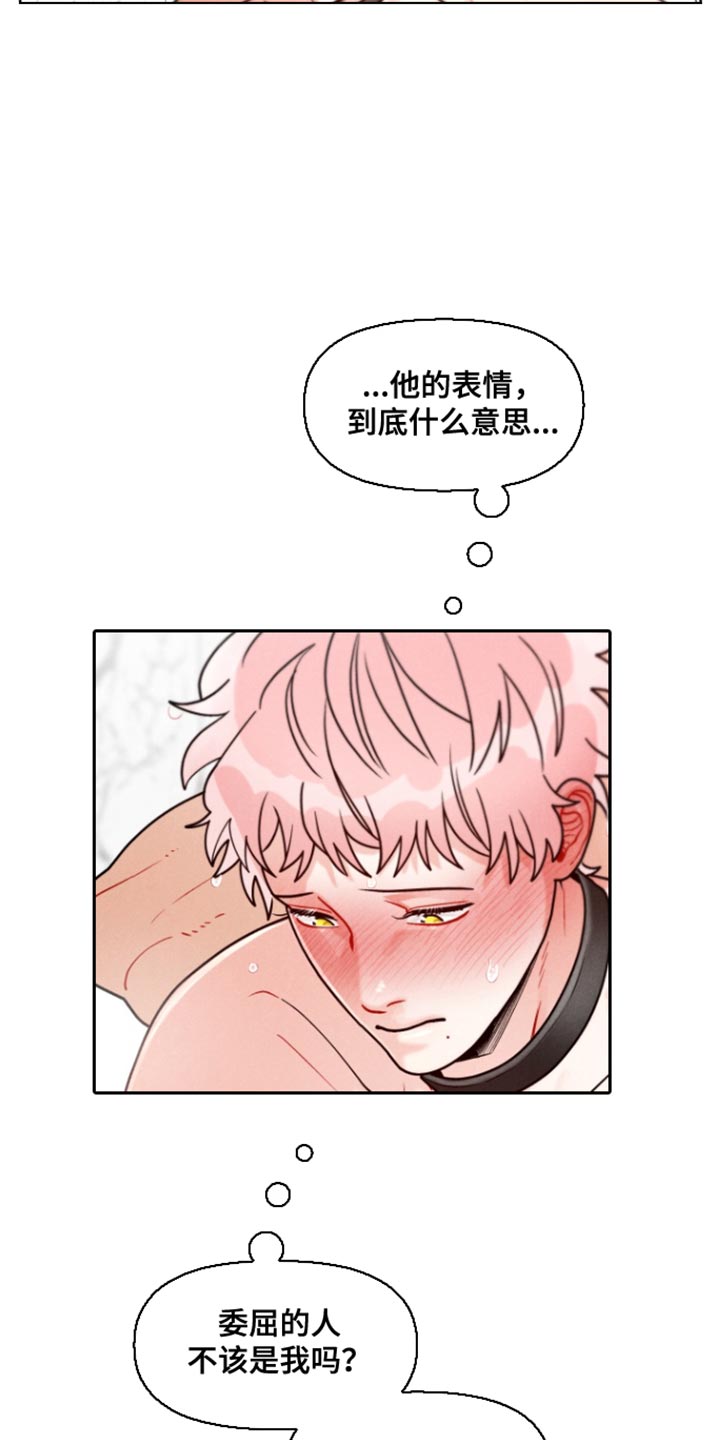 第15话：第15章：一定会了解彼此预览分镜