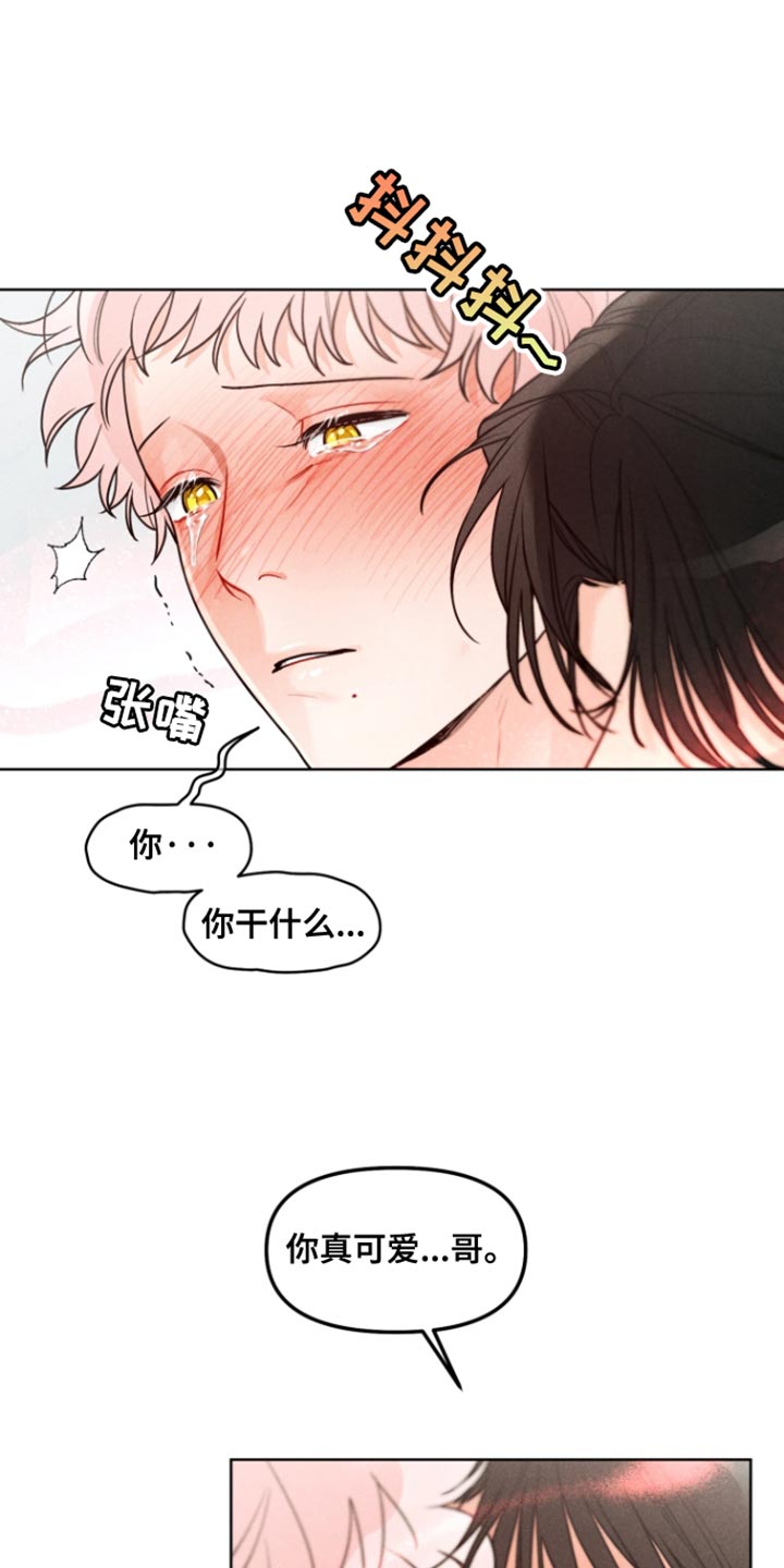 第26章:【番外】因为你经常来
