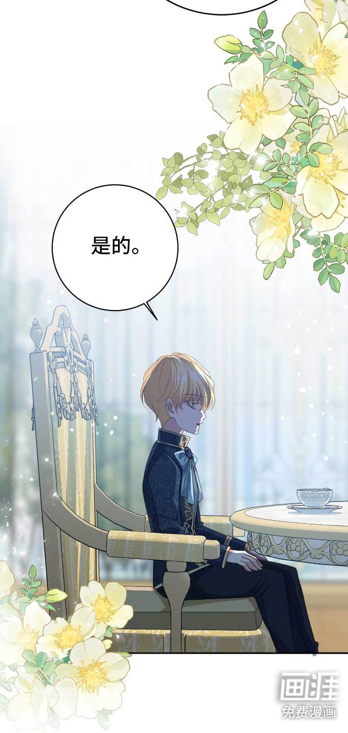第15话：第15章：效果预览分镜