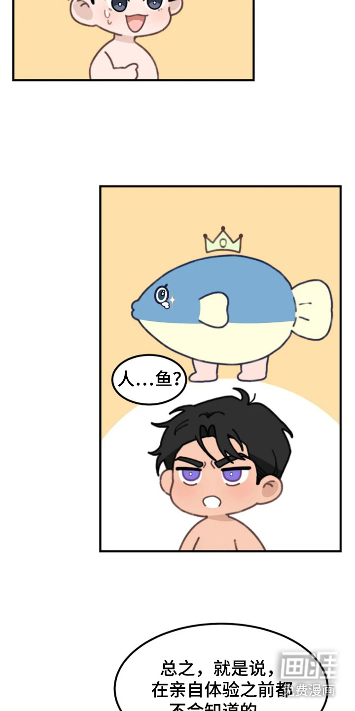 第5话：第5章：听懂语言预览分镜