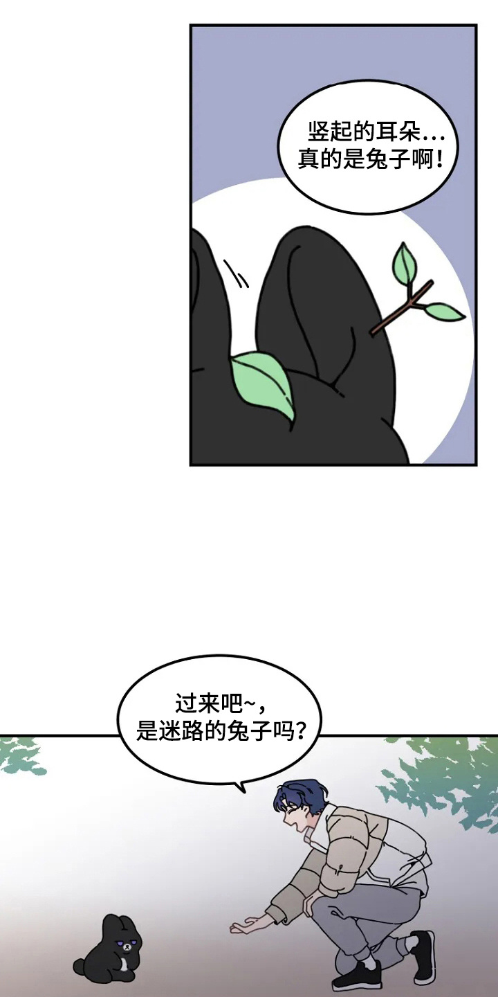 第2话：第2章：兔子预览分镜