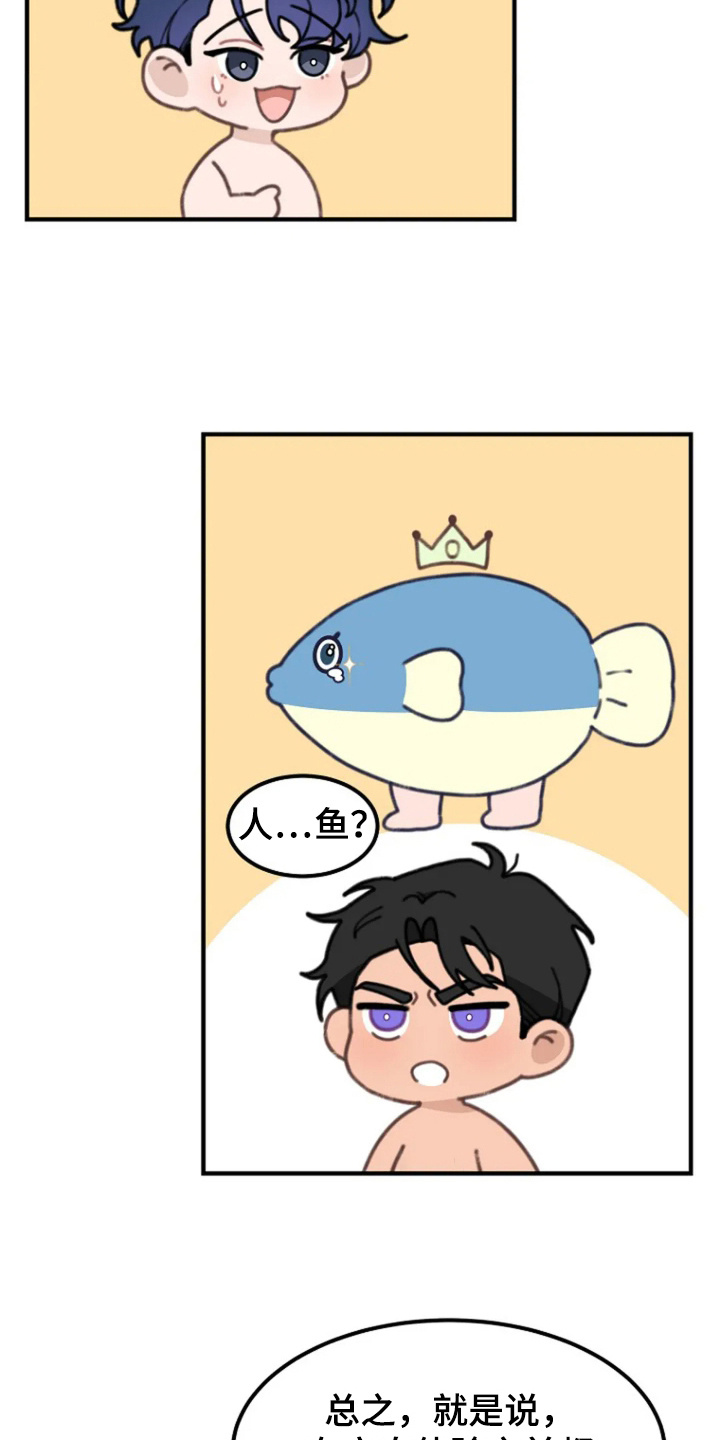 第5话：第5章：听懂语言预览分镜