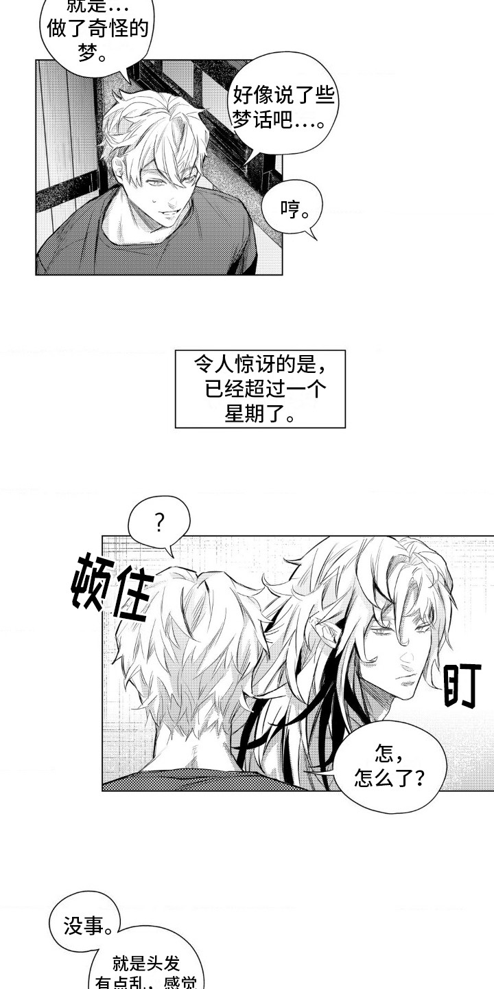 第7话：第7章：奇怪的生活习惯预览分镜