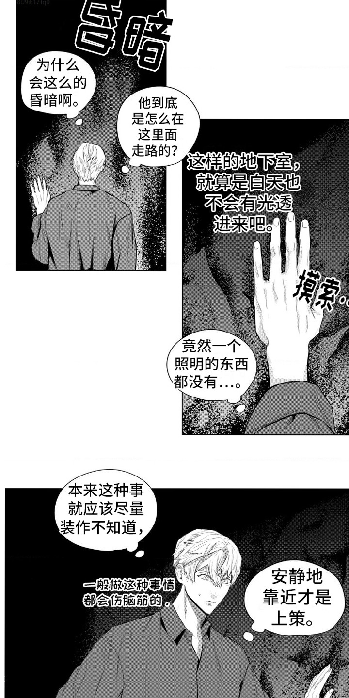 第10话：第10章：奇怪的山洞预览分镜