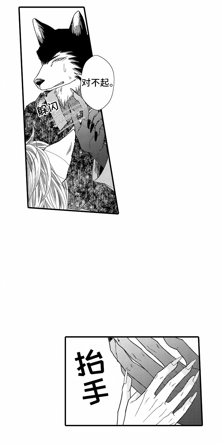 第5话：第5章：教导预览分镜