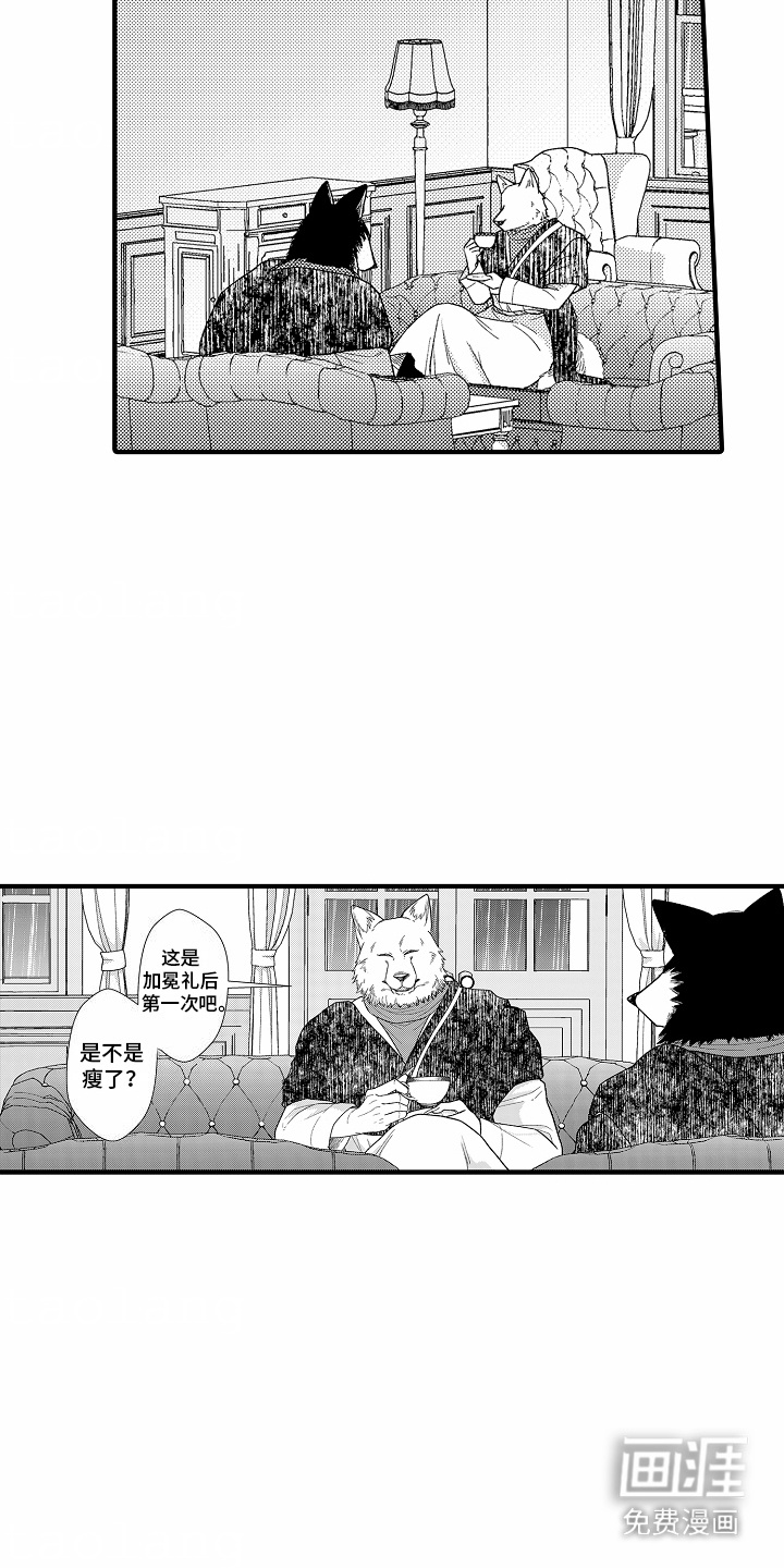 第16话：第16章：告诫预览分镜