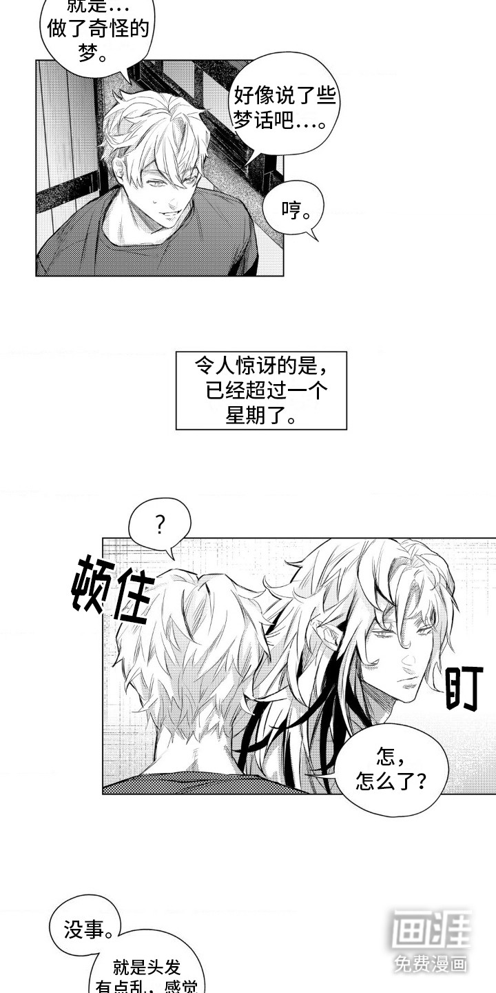 第7话：第7章：奇怪的生活习惯预览分镜