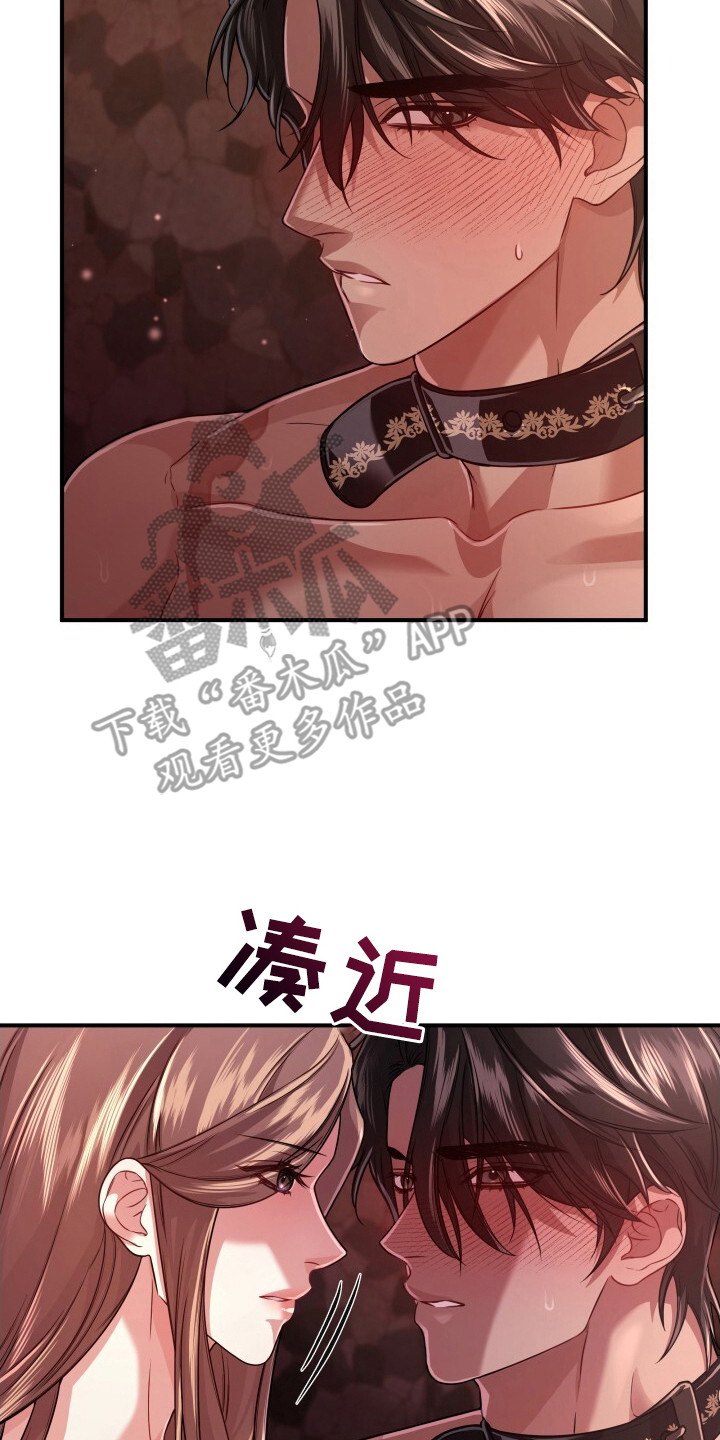 第38章:支离破碎
