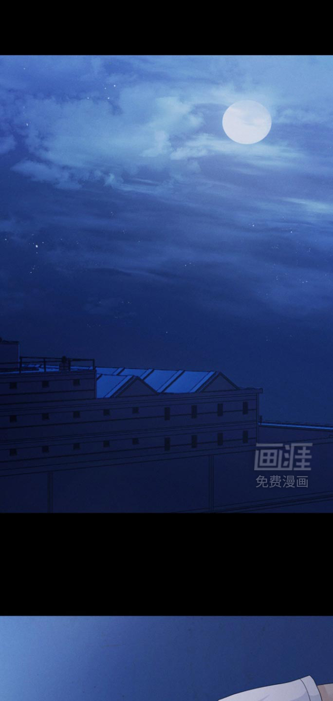 第62章:【第二季】我的书都不见了