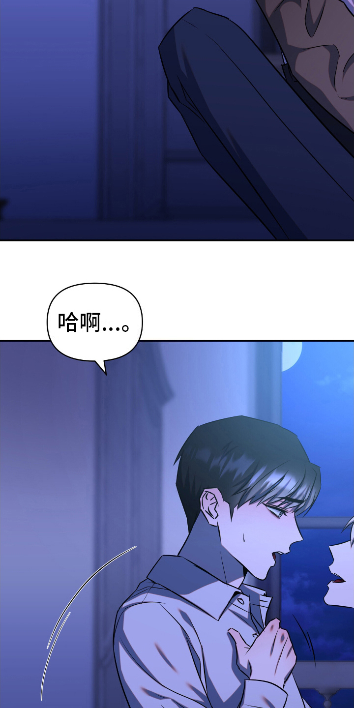 第5话：第5章：暗中观察预览分镜