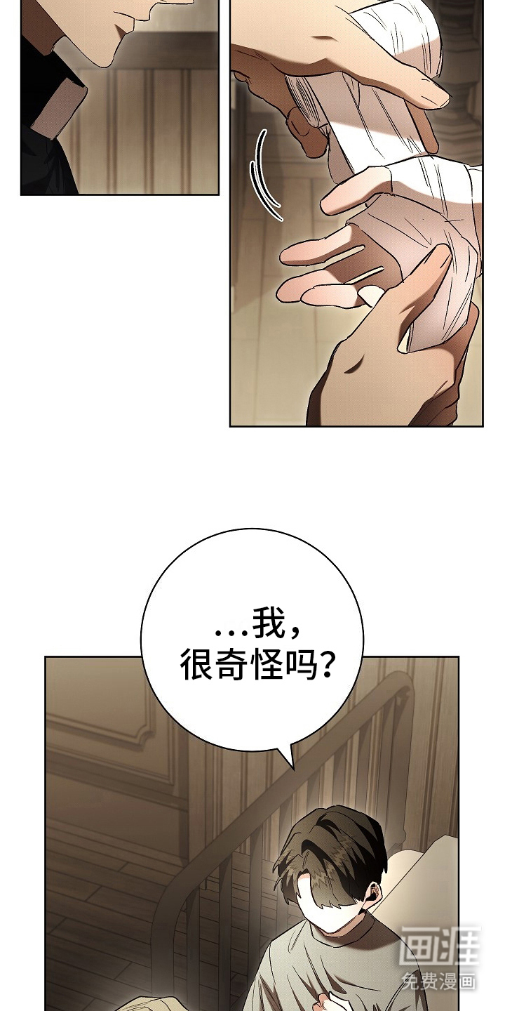 第12话：第12章：醒悟预览分镜