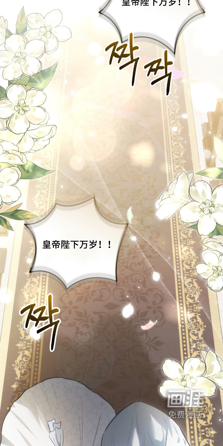 第114章:新婚之夜