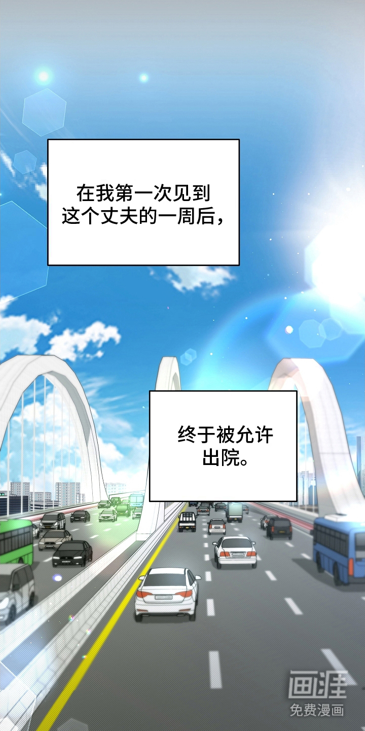 第6话：第6章：不正常预览分镜