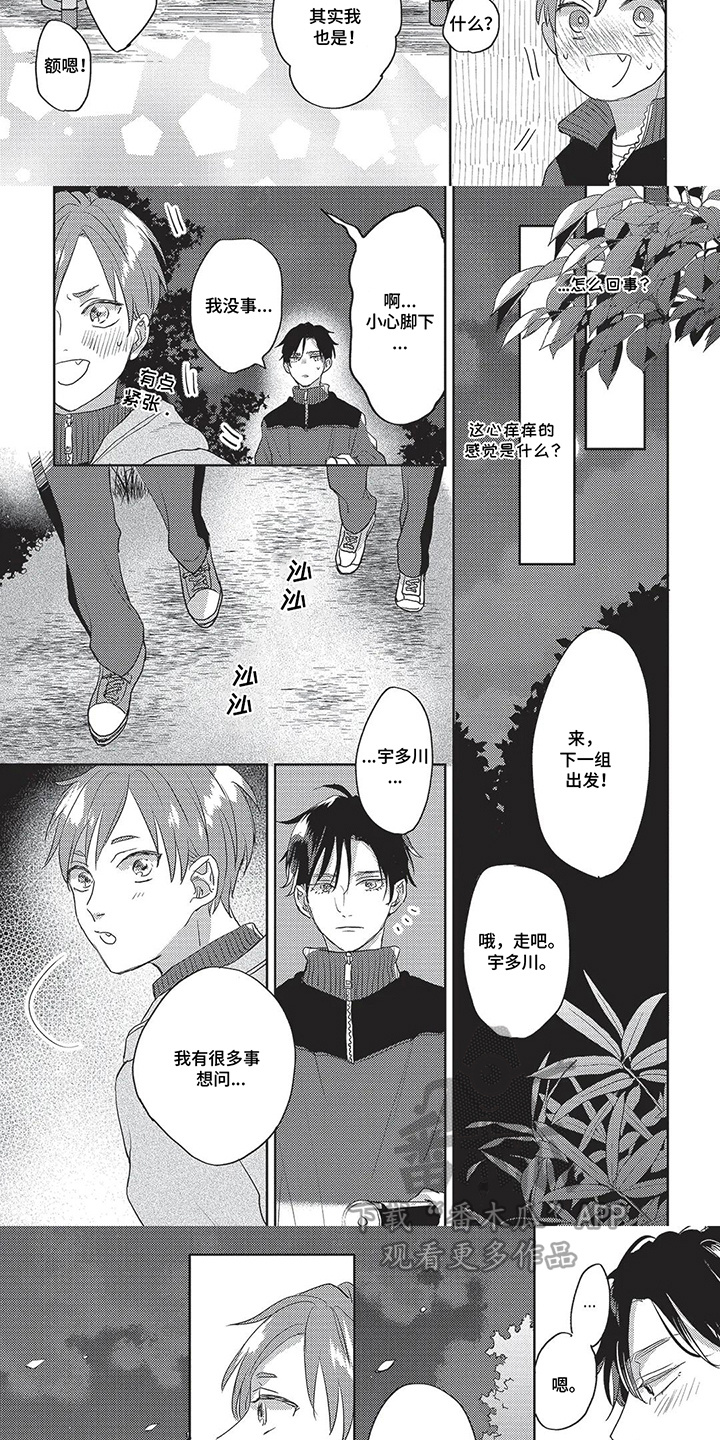 第14话：第14章：夜间散步预览分镜