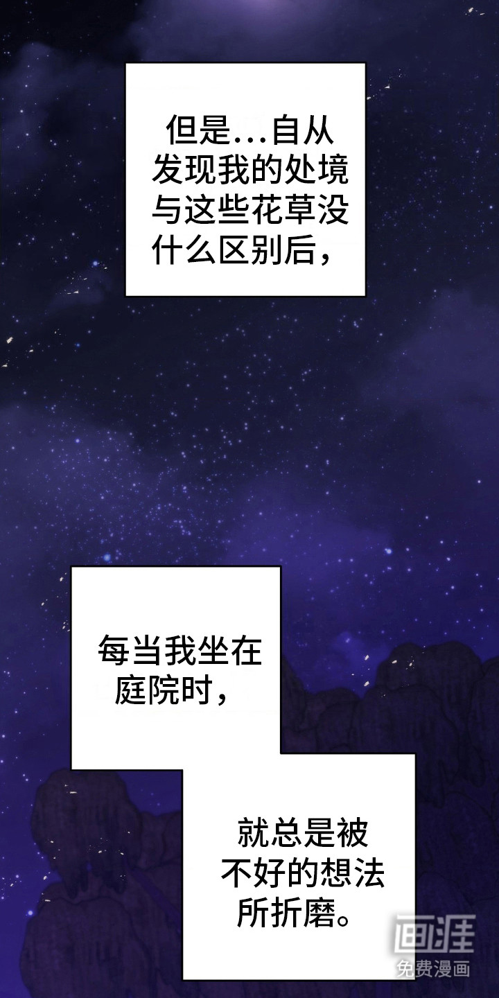 第15话：第15章：偶遇预览分镜