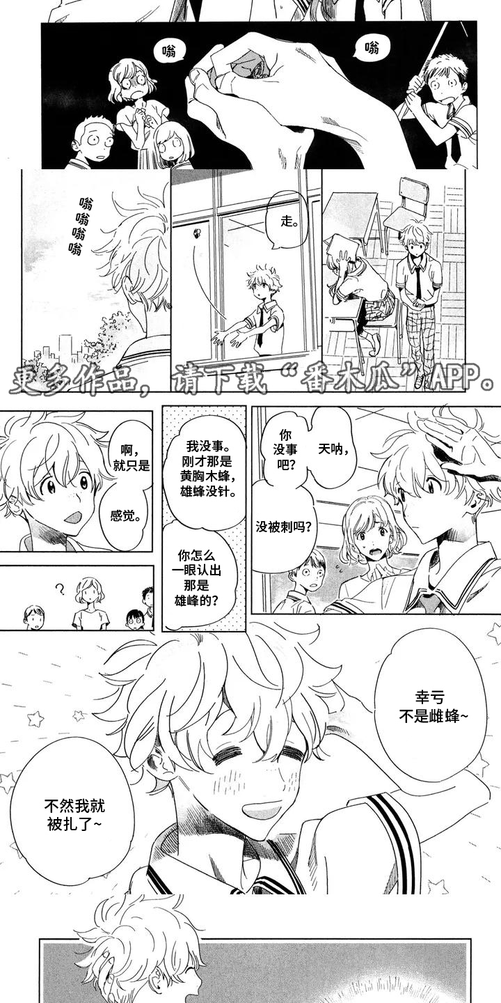 第1话：第1章：马赛族预览分镜