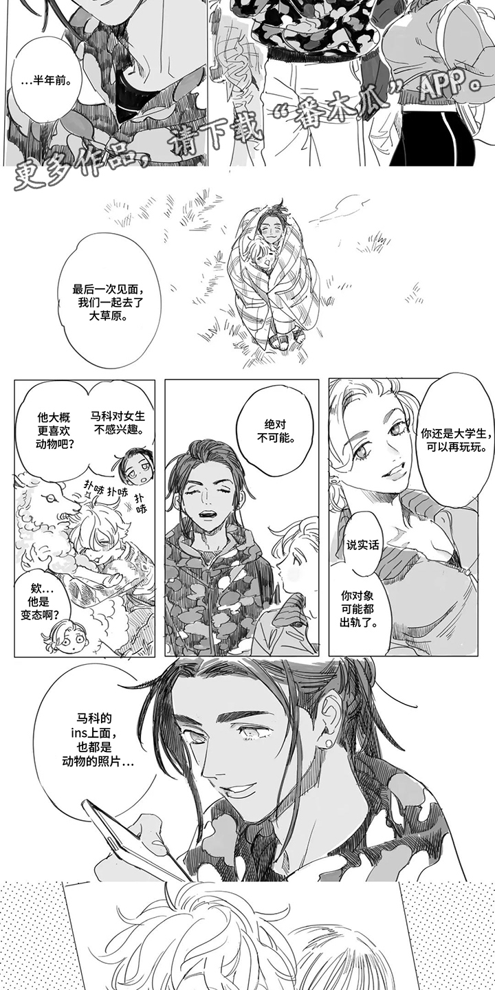 第18话：第18章：这就是青春预览分镜