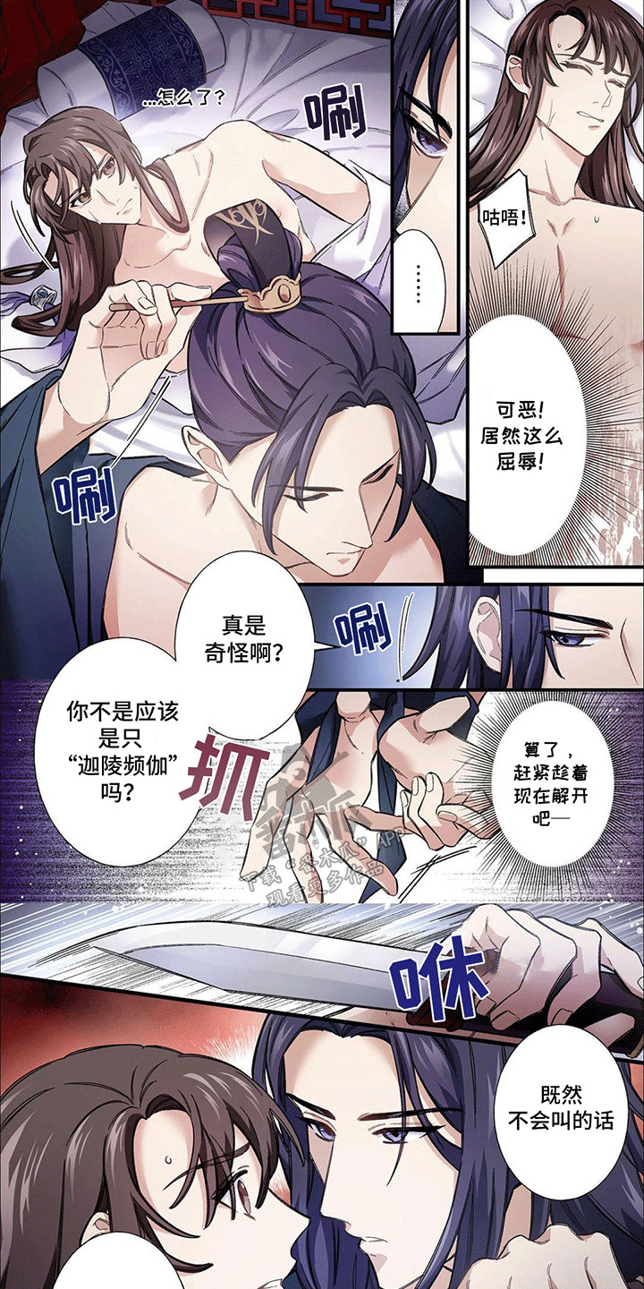第3话：第3章：三个月预览分镜