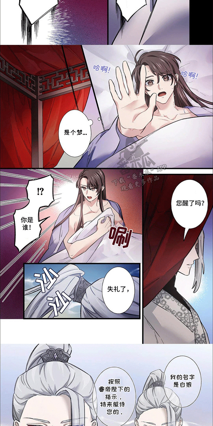 第5话：第5章：后宫预览分镜