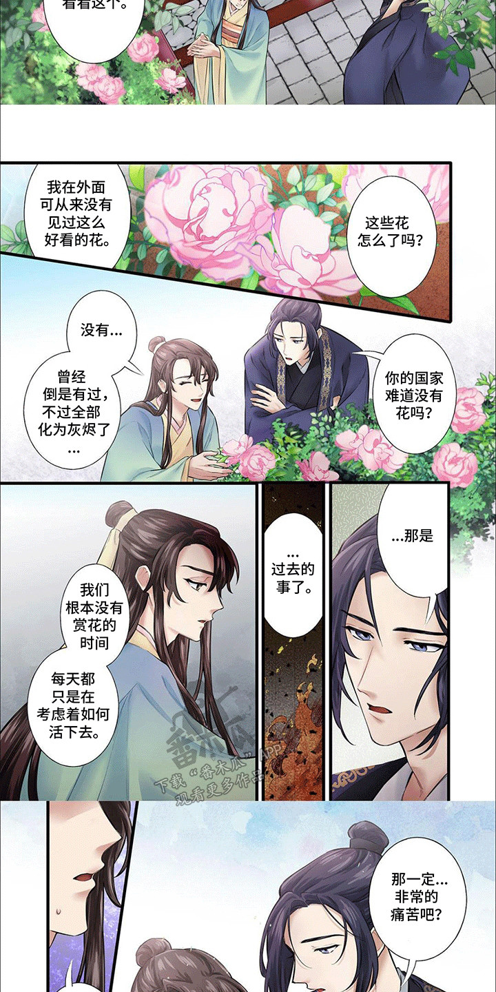 第13话：第13章：心动预览分镜