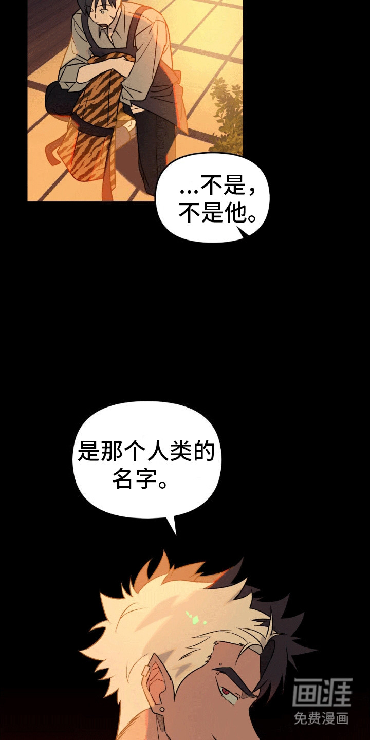 第15话：第15章：似乎伤到脑子了预览分镜