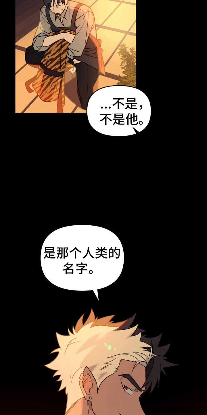 第15话：第15章：似乎伤到脑子了预览分镜