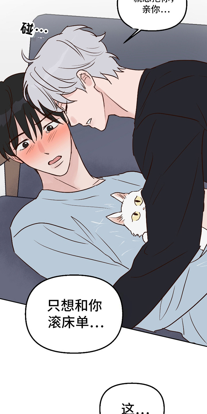 第18话：第18章：表白预览分镜