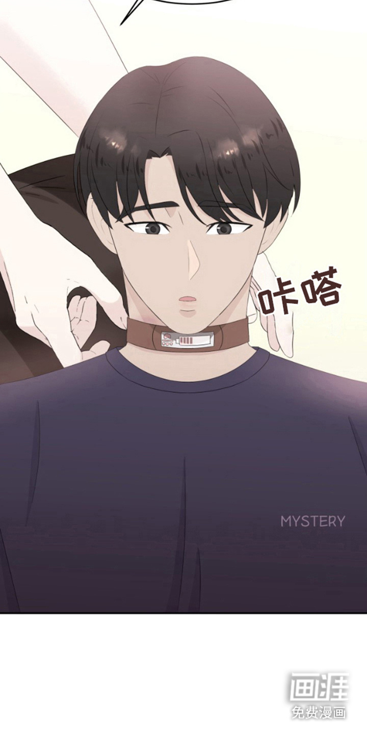 第12话：第12章：试试看预览分镜