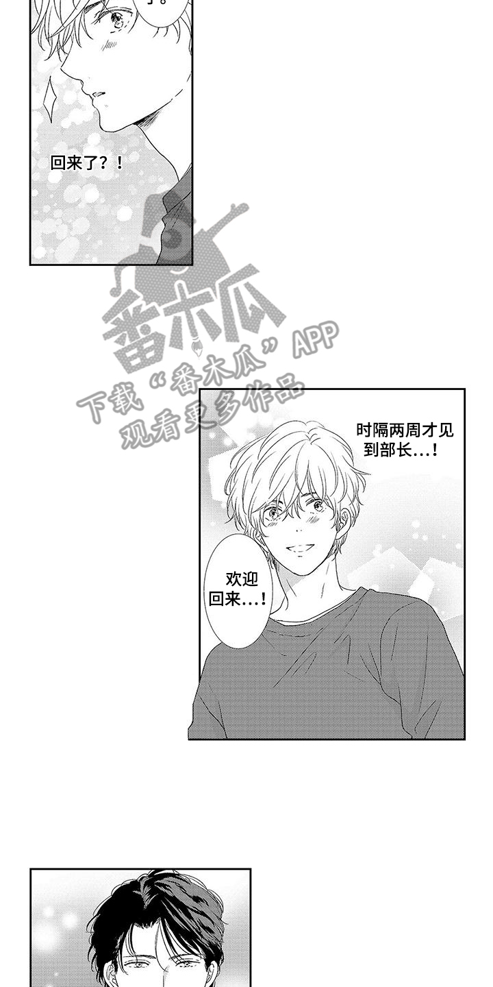 第27章:回来了(完结)