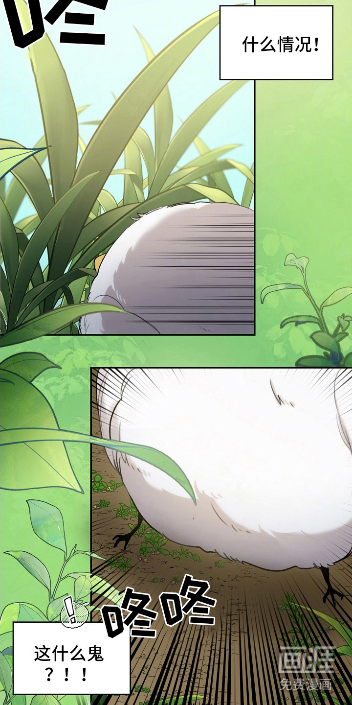 第2话：第2章：白色小鸟预览分镜