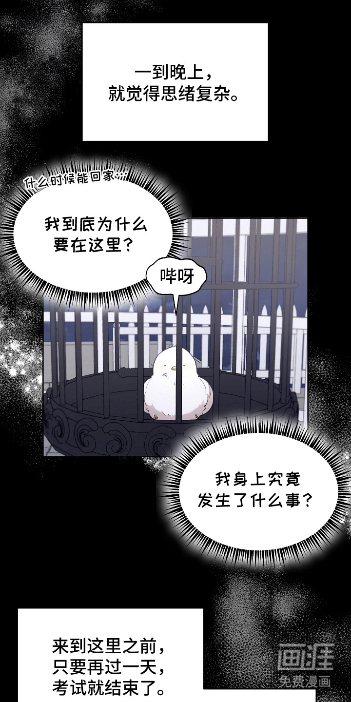 第5话：第5章：是真的预览分镜