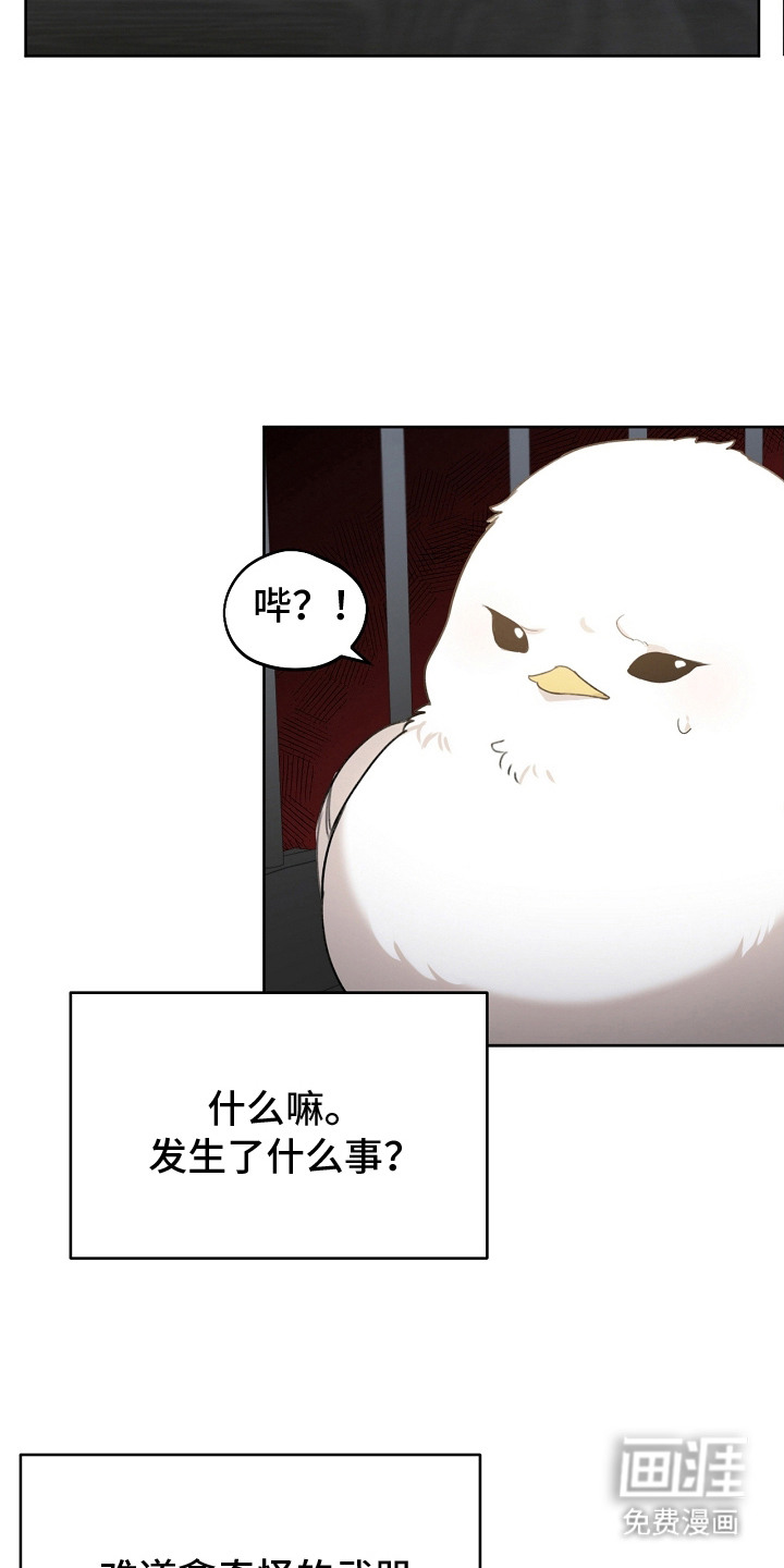 第7话：第7章：流行趋势预览分镜