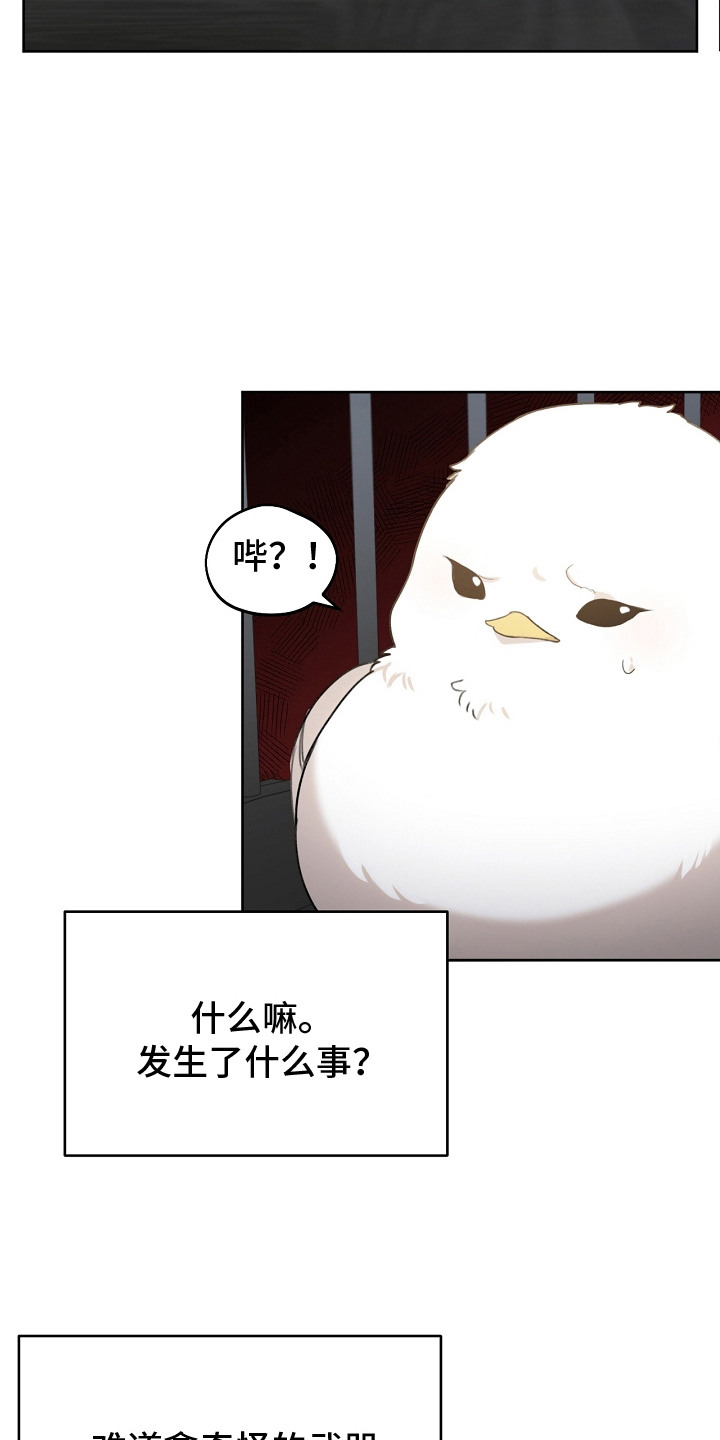 第7话：第7章：流行趋势预览分镜