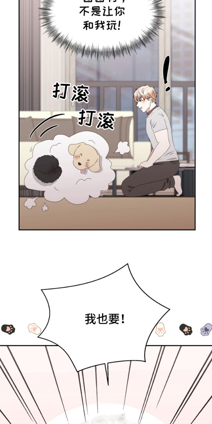 第8话：第8章：很可爱预览分镜