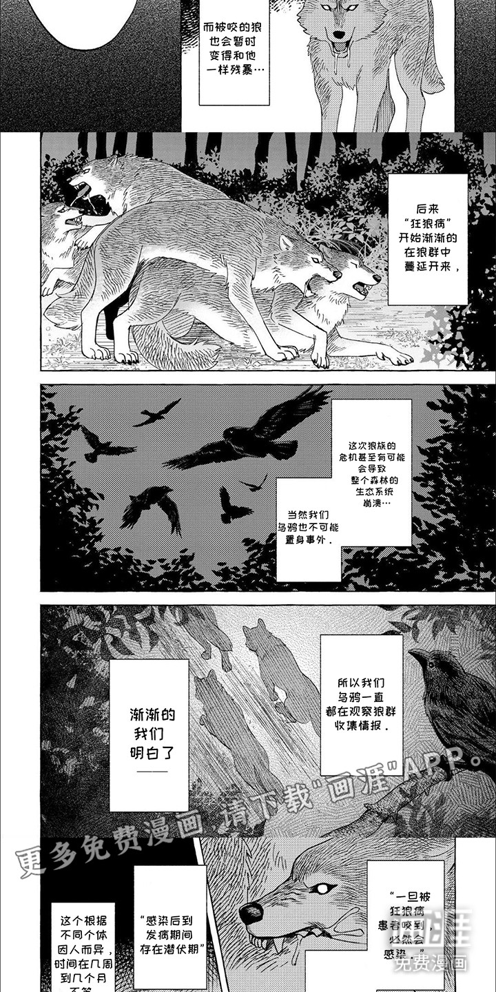 第6话：第6章：被诅咒的孩子预览分镜