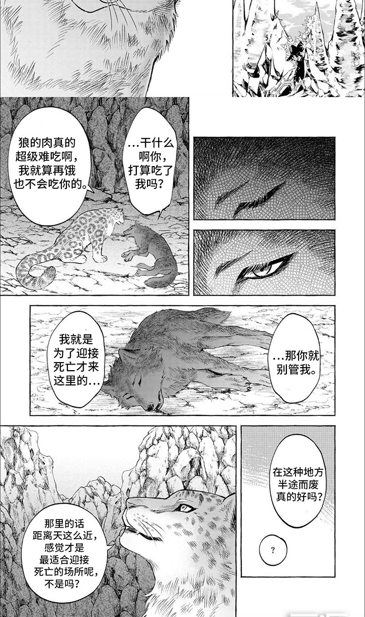 第10话：第10章：他们的故事预览分镜