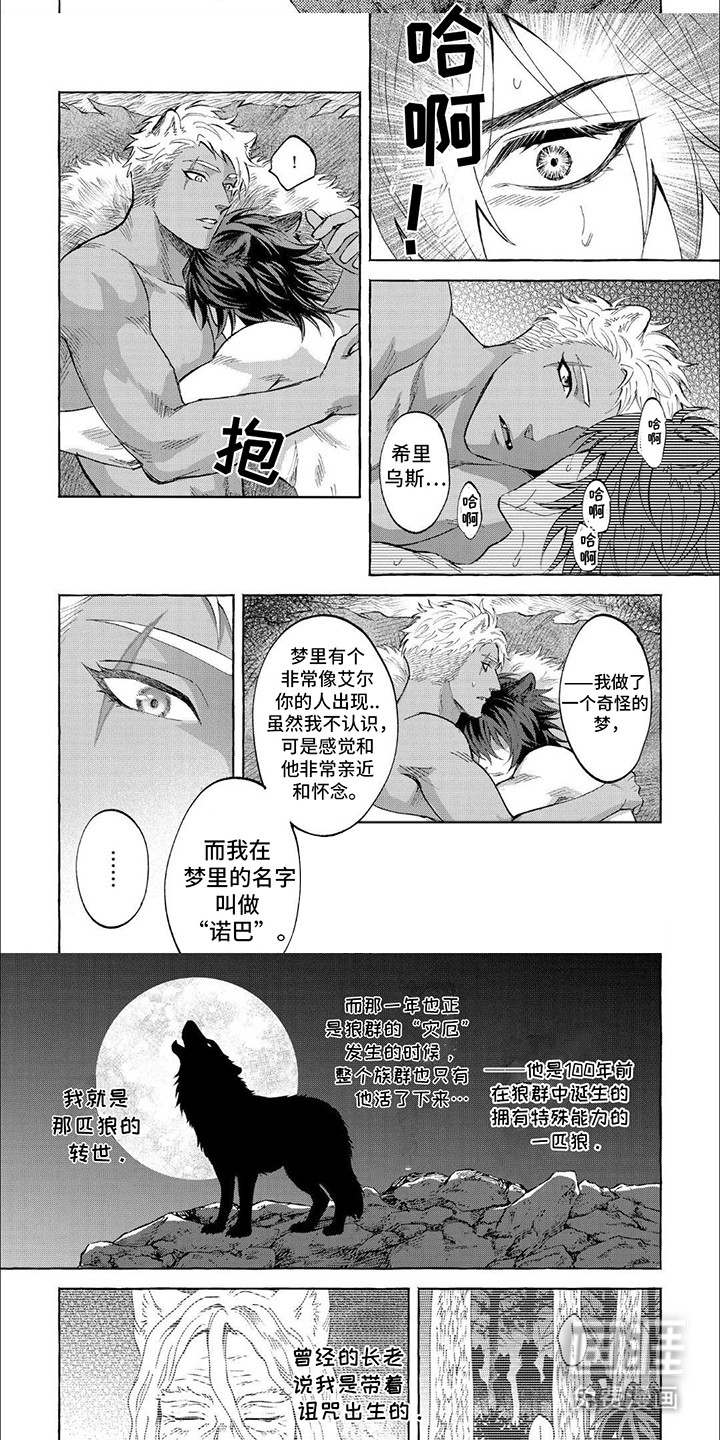 第11话：第11章：前世今生预览分镜