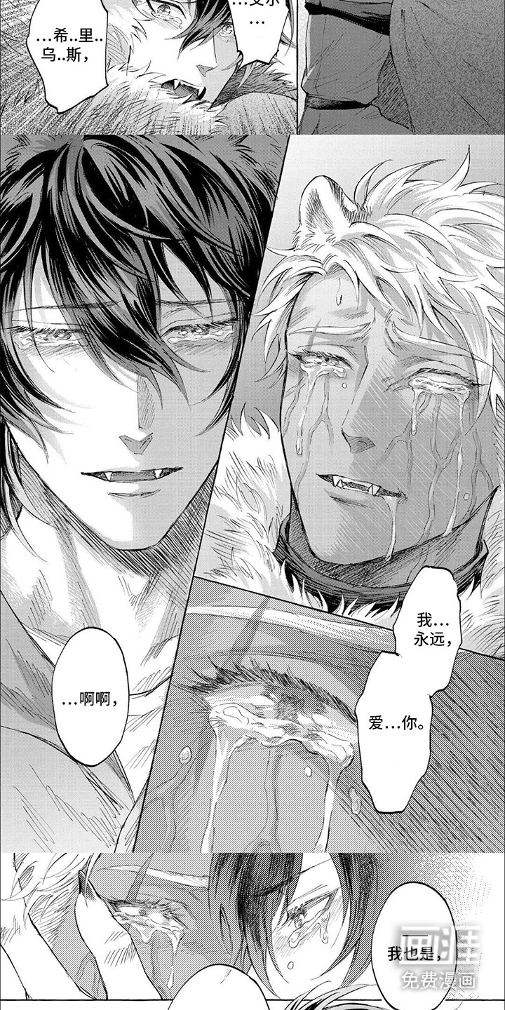 第16话：第16章：分离预览分镜