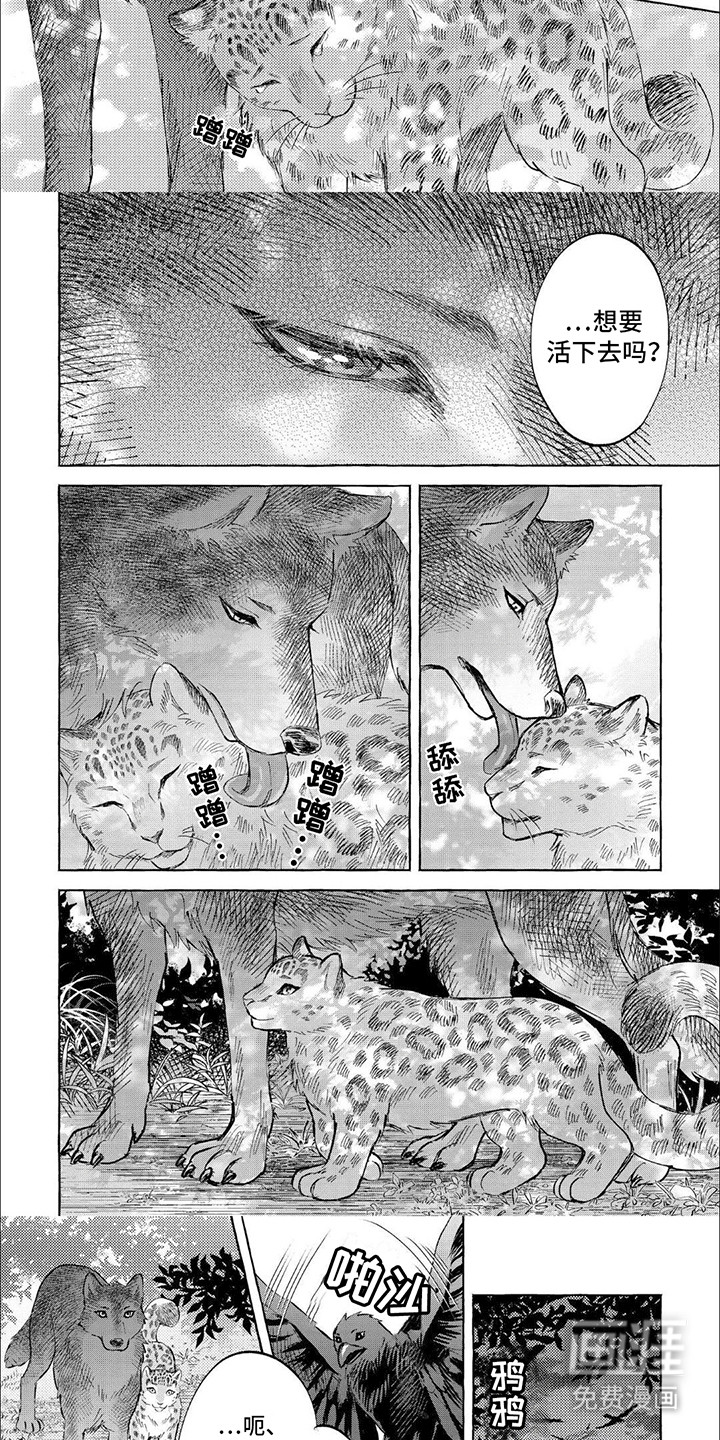 第17话：第17章：终究不是他预览分镜
