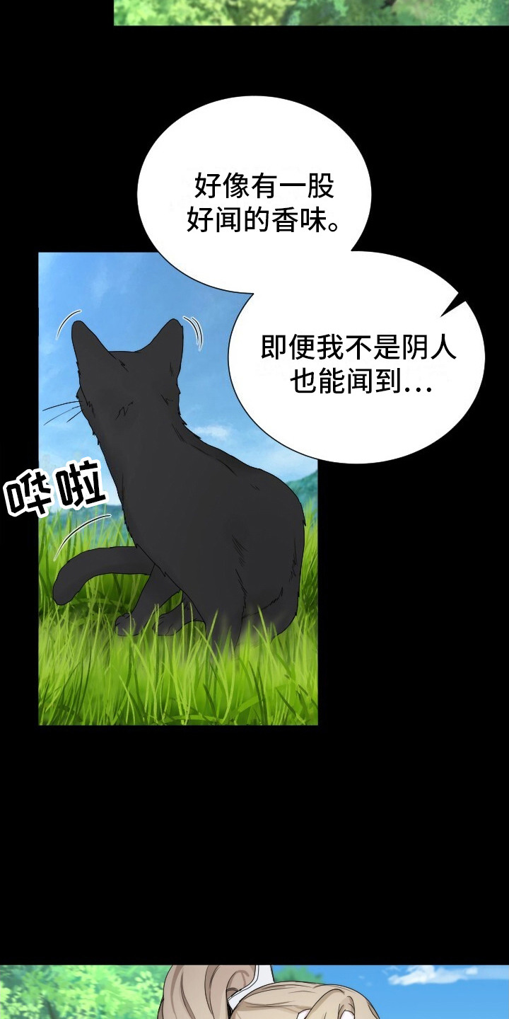第14话：第14章：逃跑预览分镜