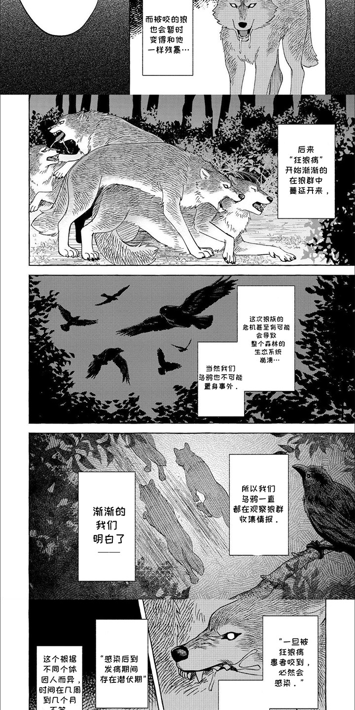第6话：第6章：被诅咒的孩子预览分镜
