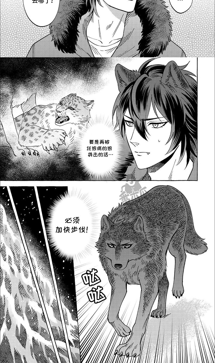 第8话：第8章：放他自由预览分镜