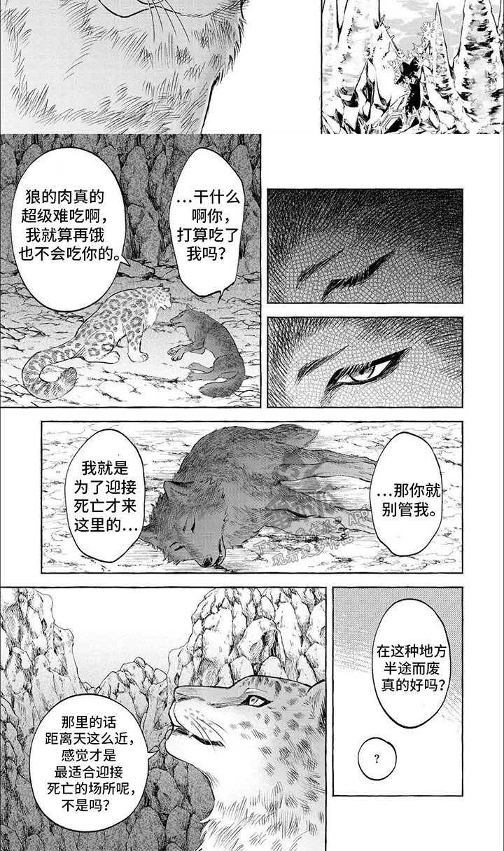 第11话：第11章：他们的故事预览分镜