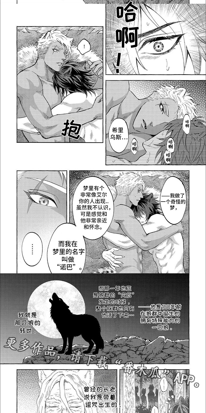 第12话：第12章：前世今生预览分镜
