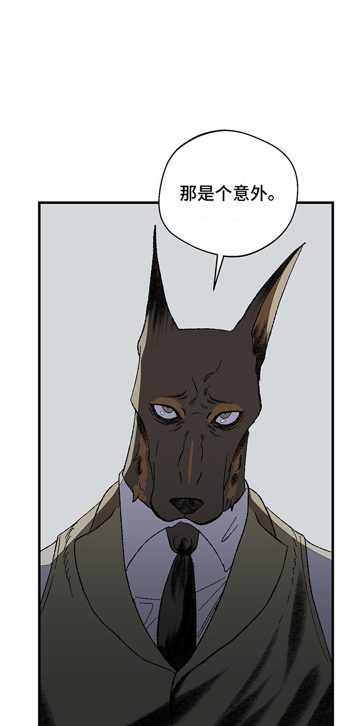 第5话：第5章：挑剔预览分镜