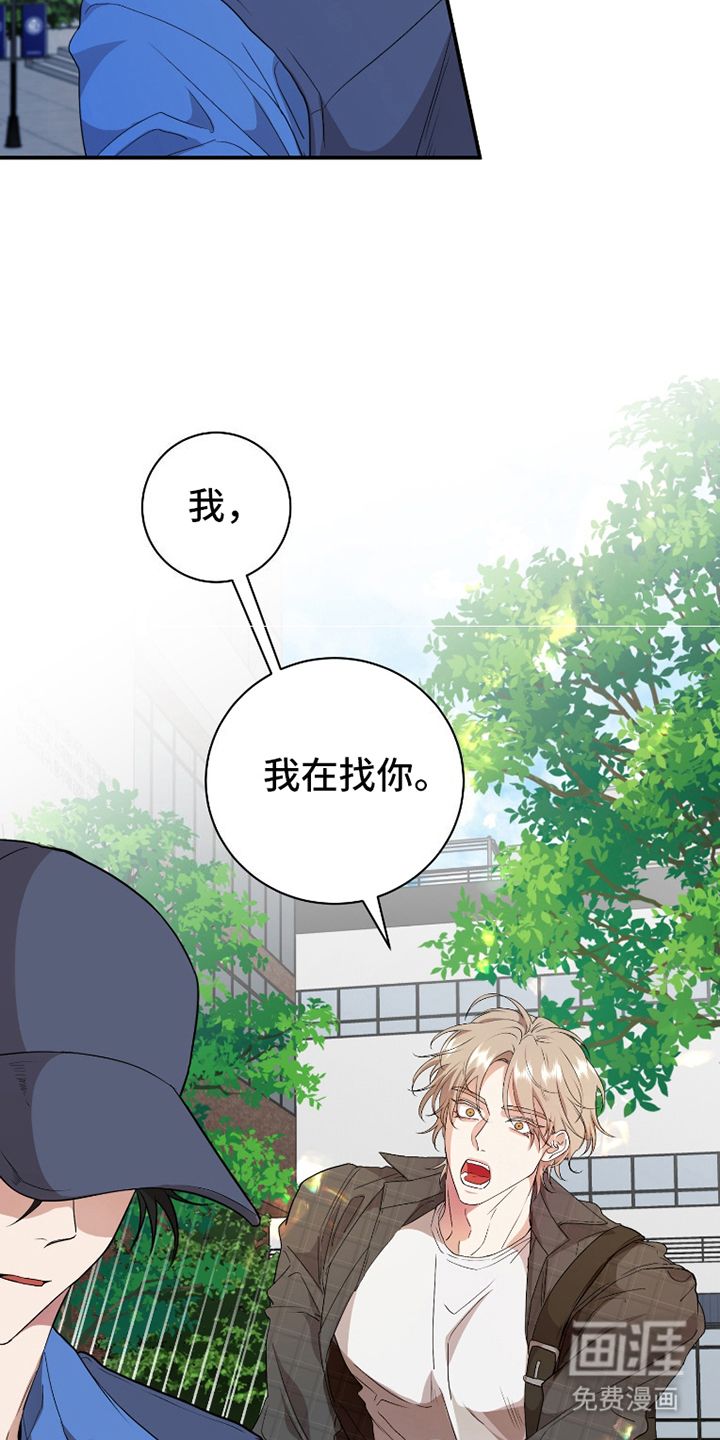 第4话：第4章：小熊饼干预览分镜