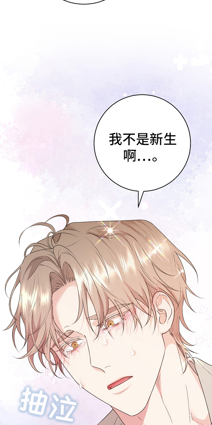 第12话：第12章：误会预览分镜